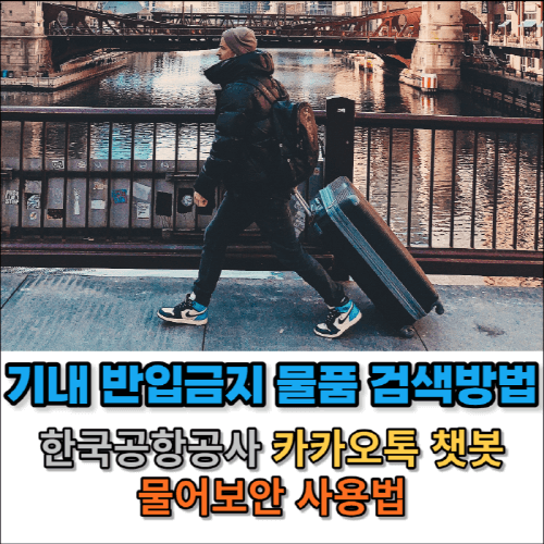 기내 반입금지 물품 검색방법 썸네일