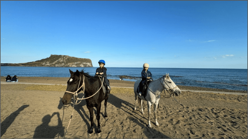 제주도 말타기 체험 썸네일