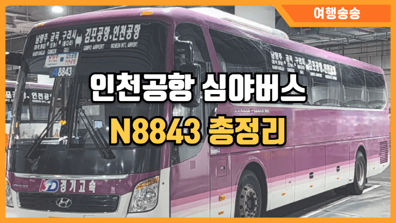 인천공항 심야버스 N8843 썸네일